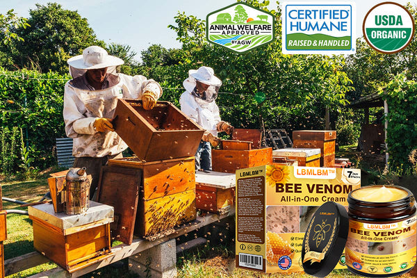 LBMLBM™ Bee Venom All-in-One Cream US Dermatologist Approved