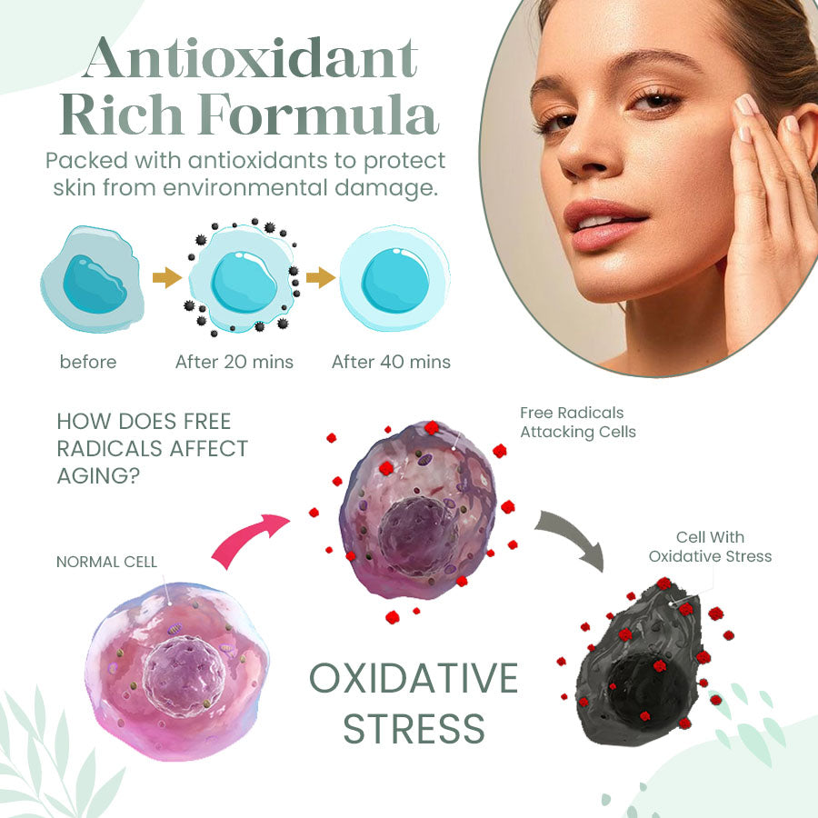 Olive Early Harvest Vitality Shield Oil