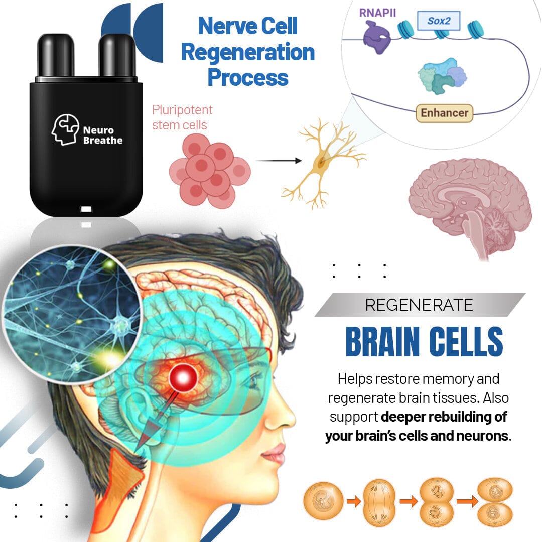 NeuroBreathe™ Neuro-Regenerative Inhaler